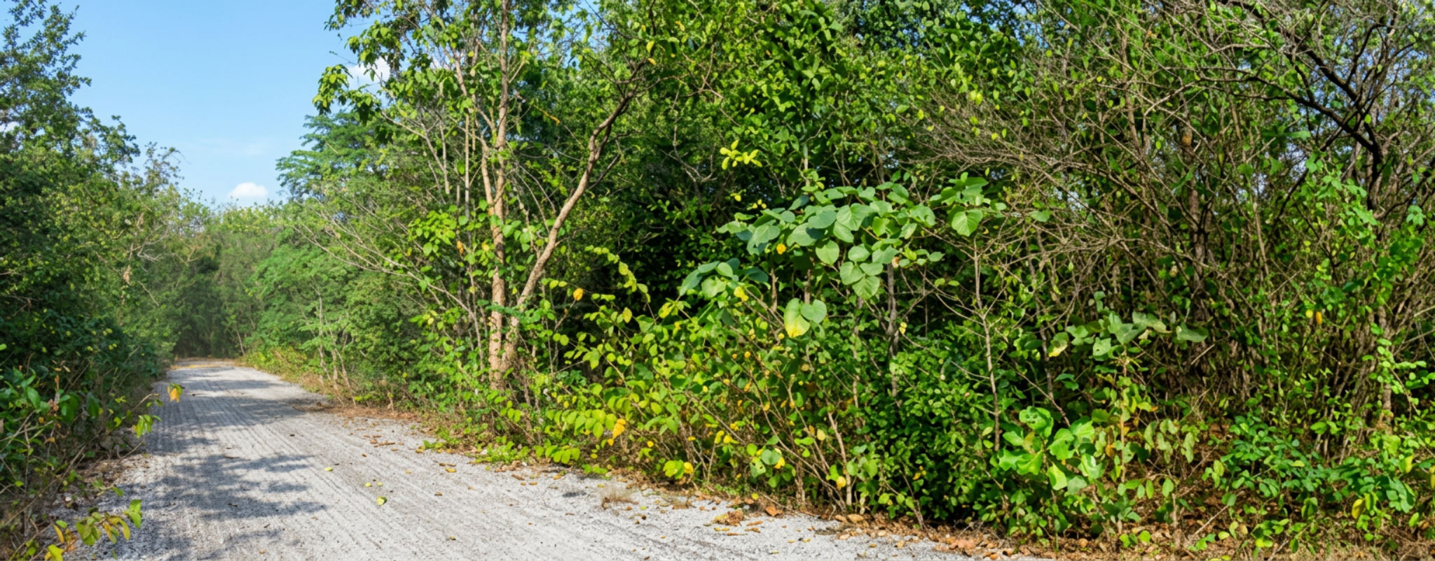 freepik_2871028134.png