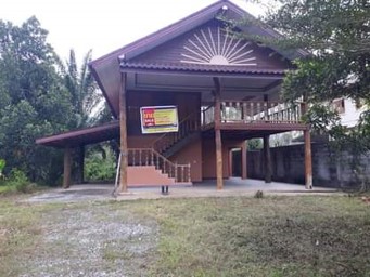 Picture1.jpg