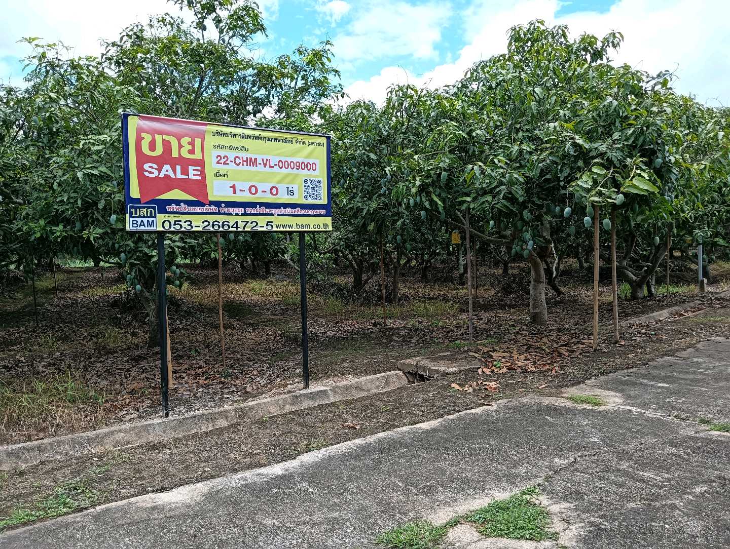 ที่ดิน อินทขิล  เชียงใหม่