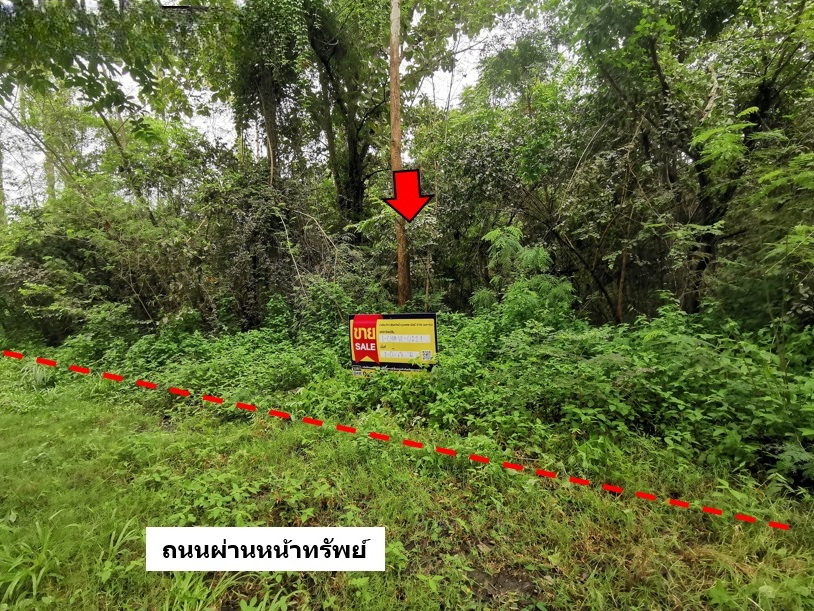 ที่ดิน บ้านหลวง จอมทอง เชียงใหม่