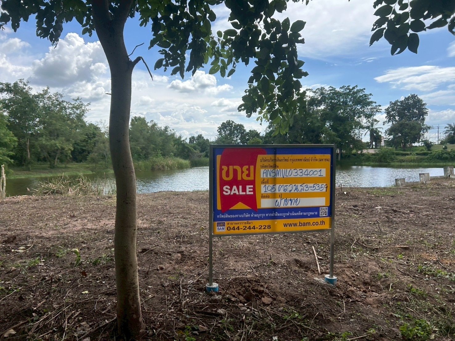 ที่ดิน ท่าอ่าง  นครราชสีมา