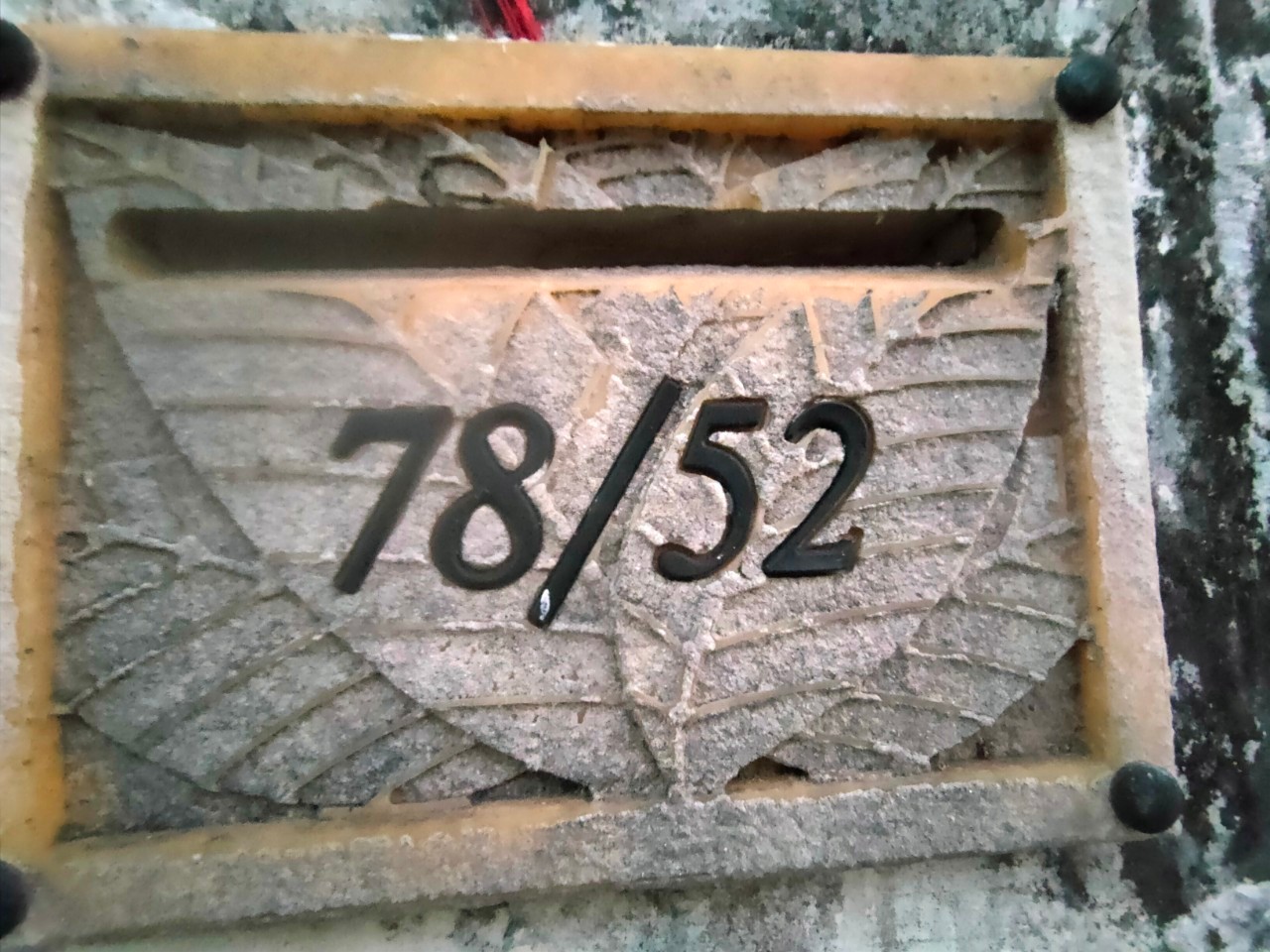 LINE_ALBUM_ม.ชัยพกฤษ์2เลขที่7852หลังทำ_๒๓๐๒๐๘_42.jpg