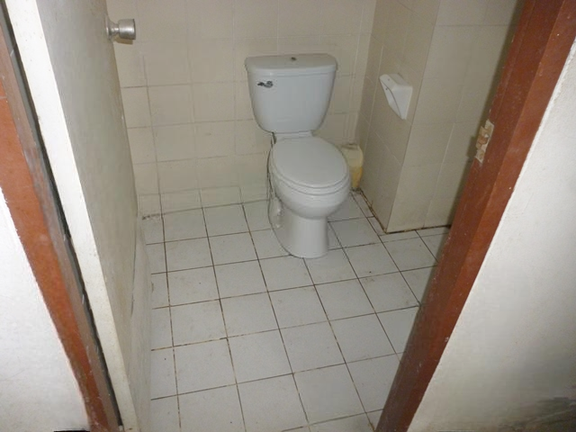 image (17).png