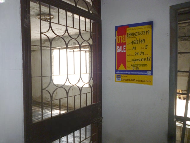 image (12).png