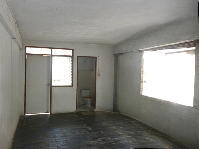 image (13).png