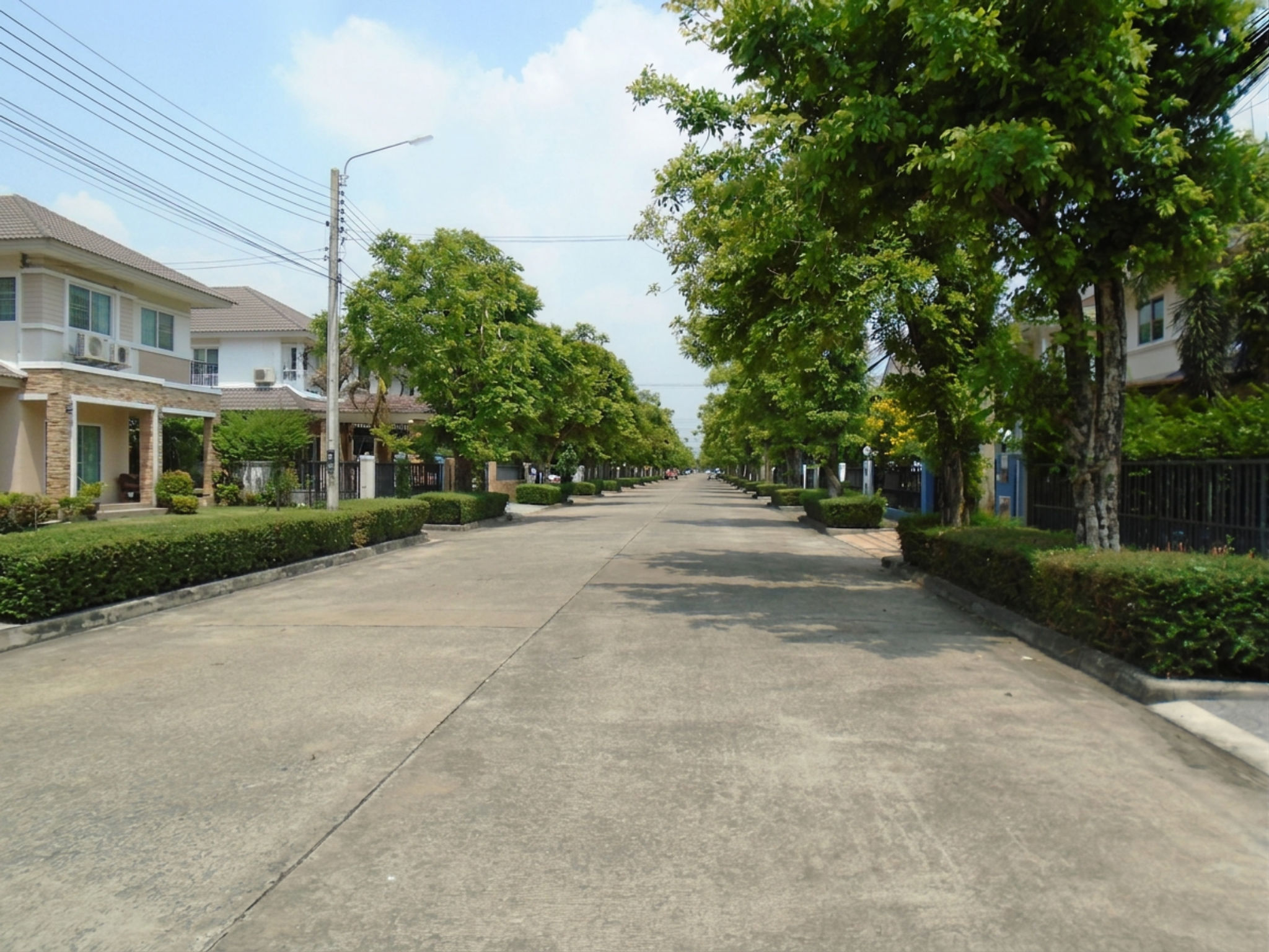 freepik_2_0001.png