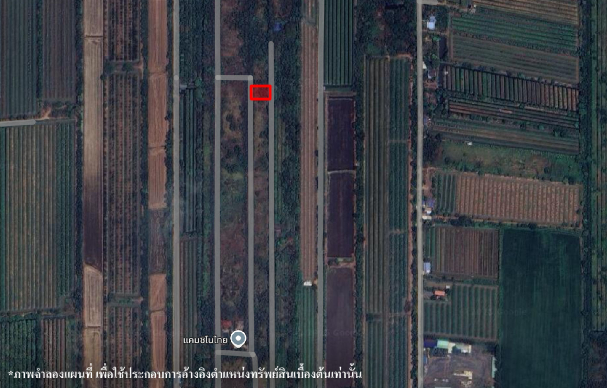 image (6).png