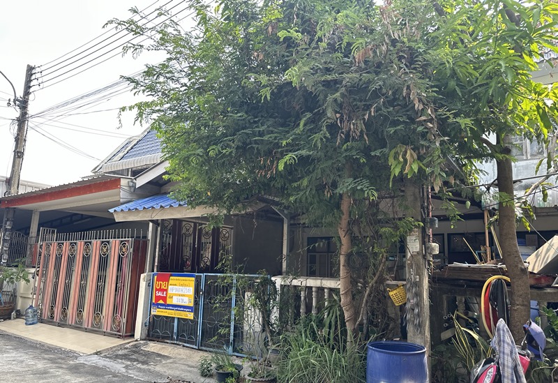 TC_02204.JPG