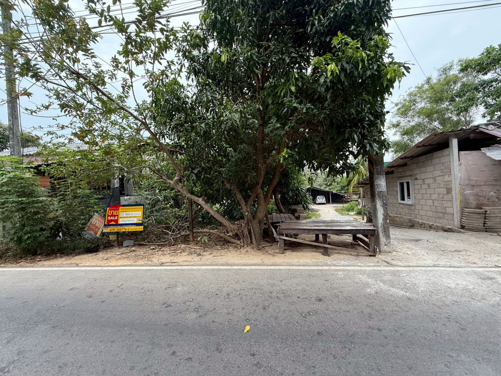 ที่ดิน หนองทะเล  กระบี่