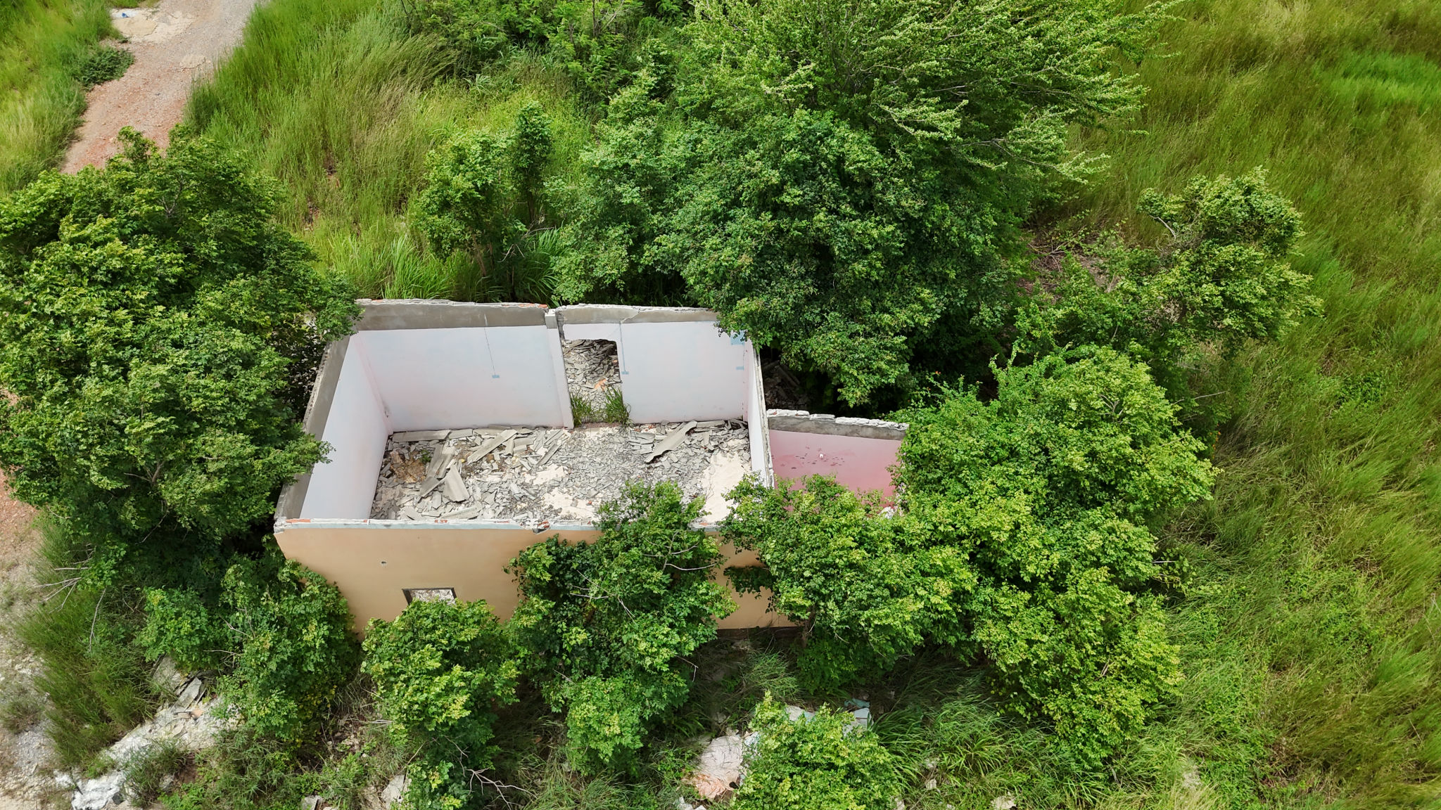 DJI_20250725172949_0721_D.JPG