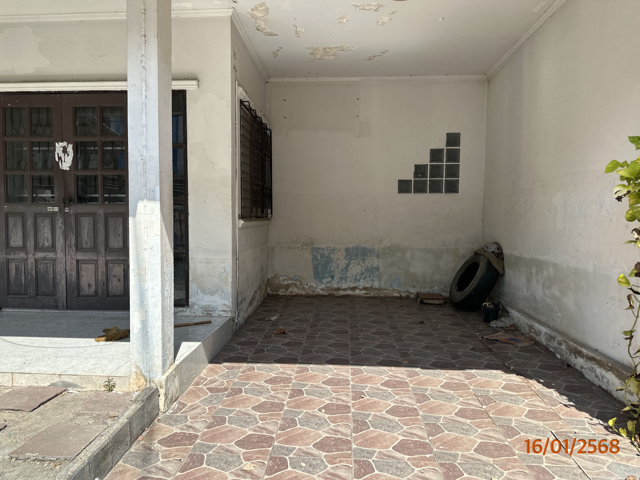TC_00489.JPG