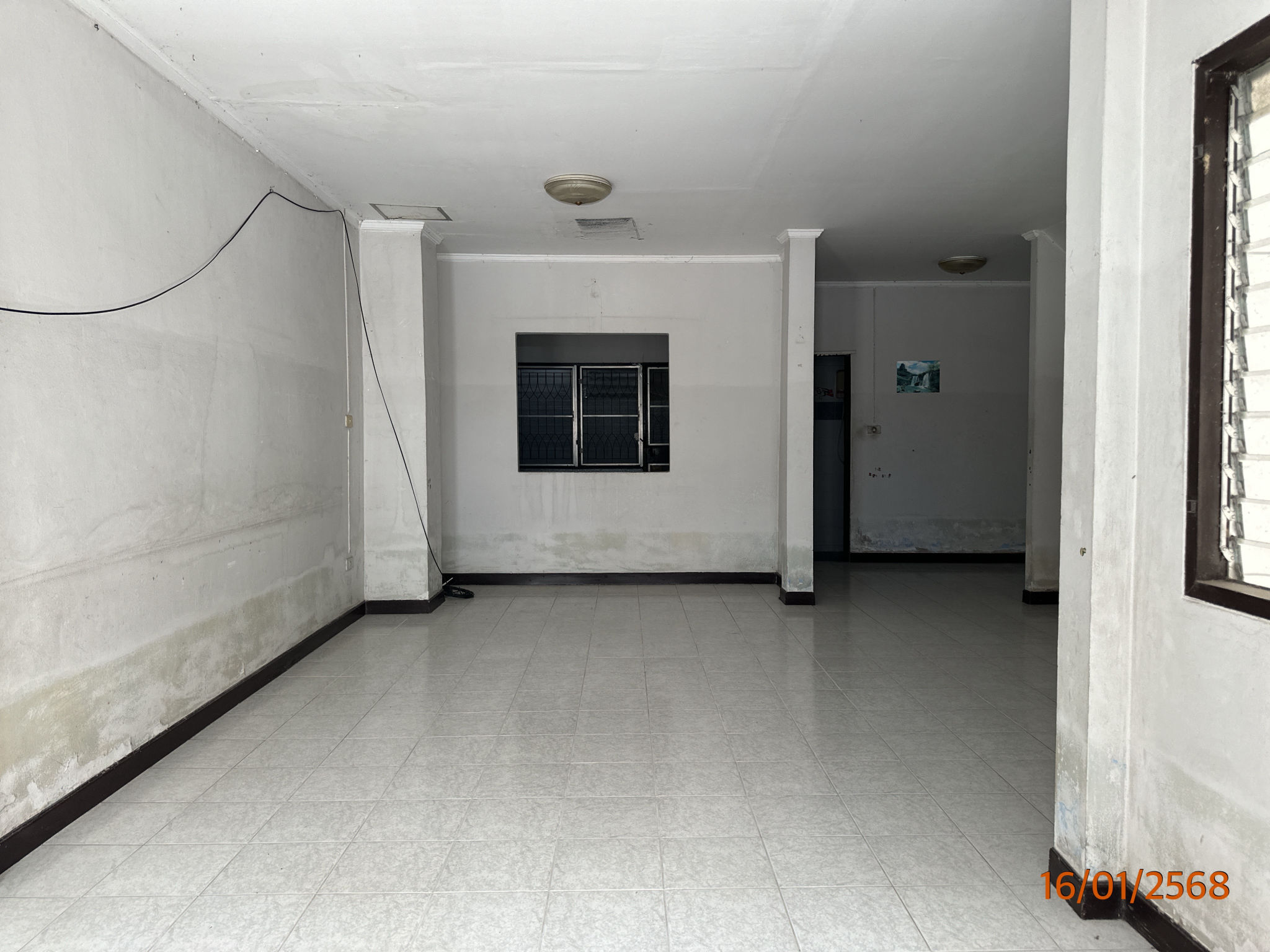 TC_00492.JPG