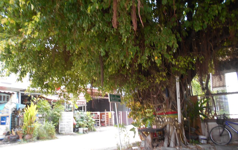 5+DSCN3914.JPG