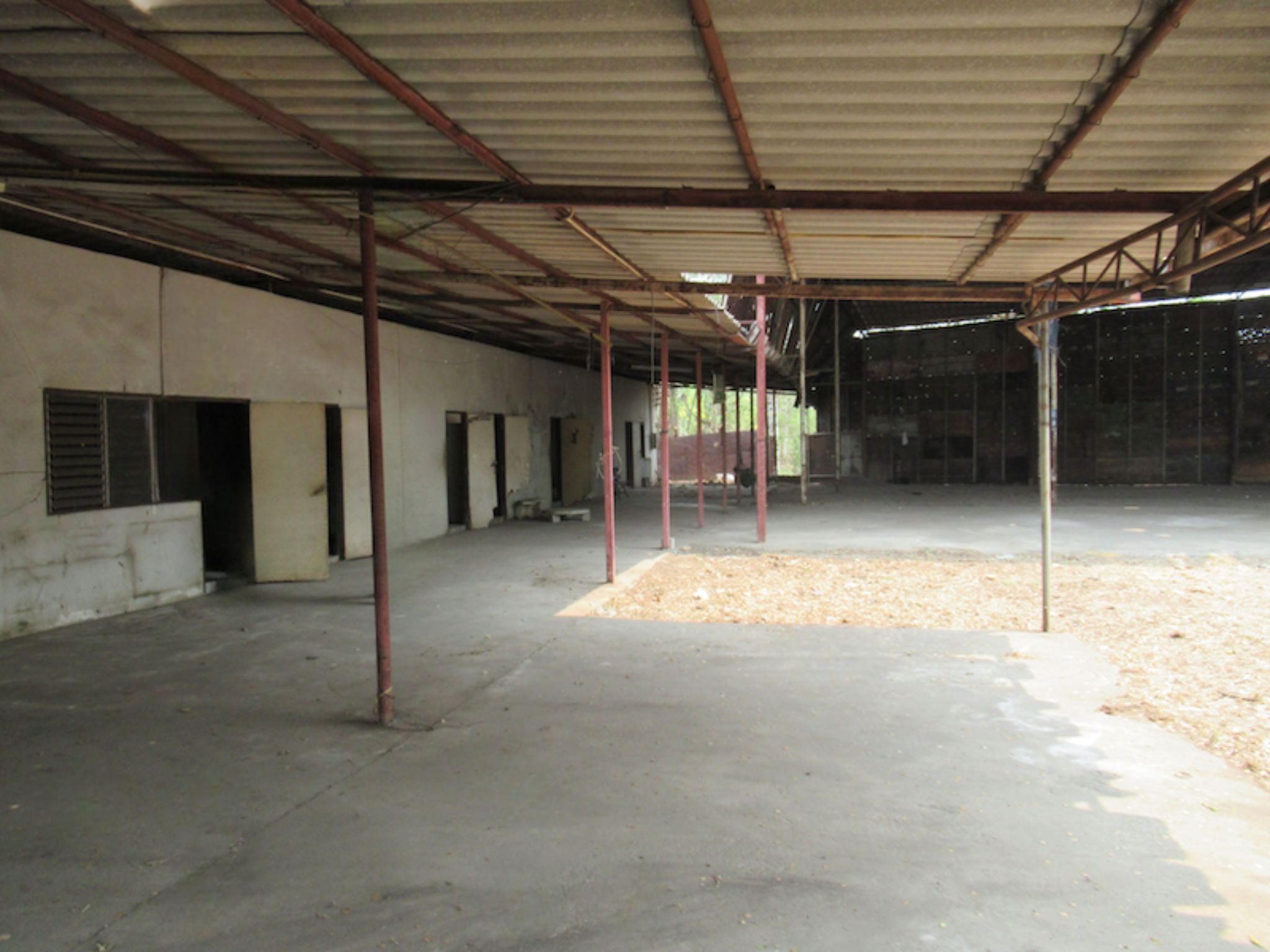 image (29).png
