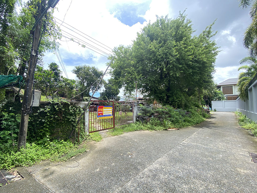 8738aa77-IMG_2908.JPG