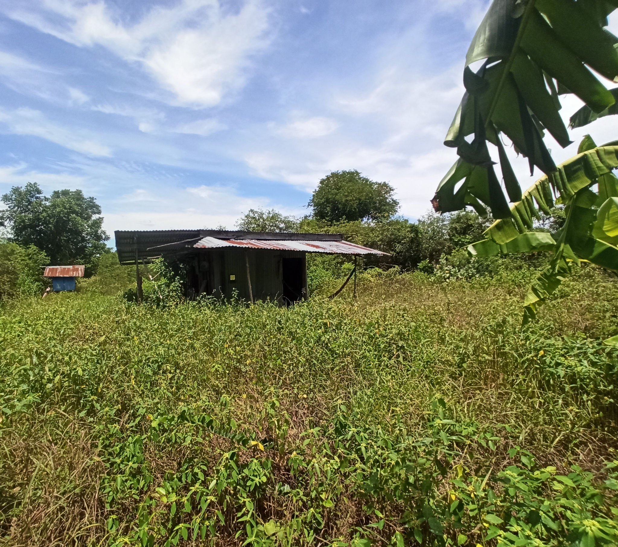 9dd3edd9-143935-0.jpg