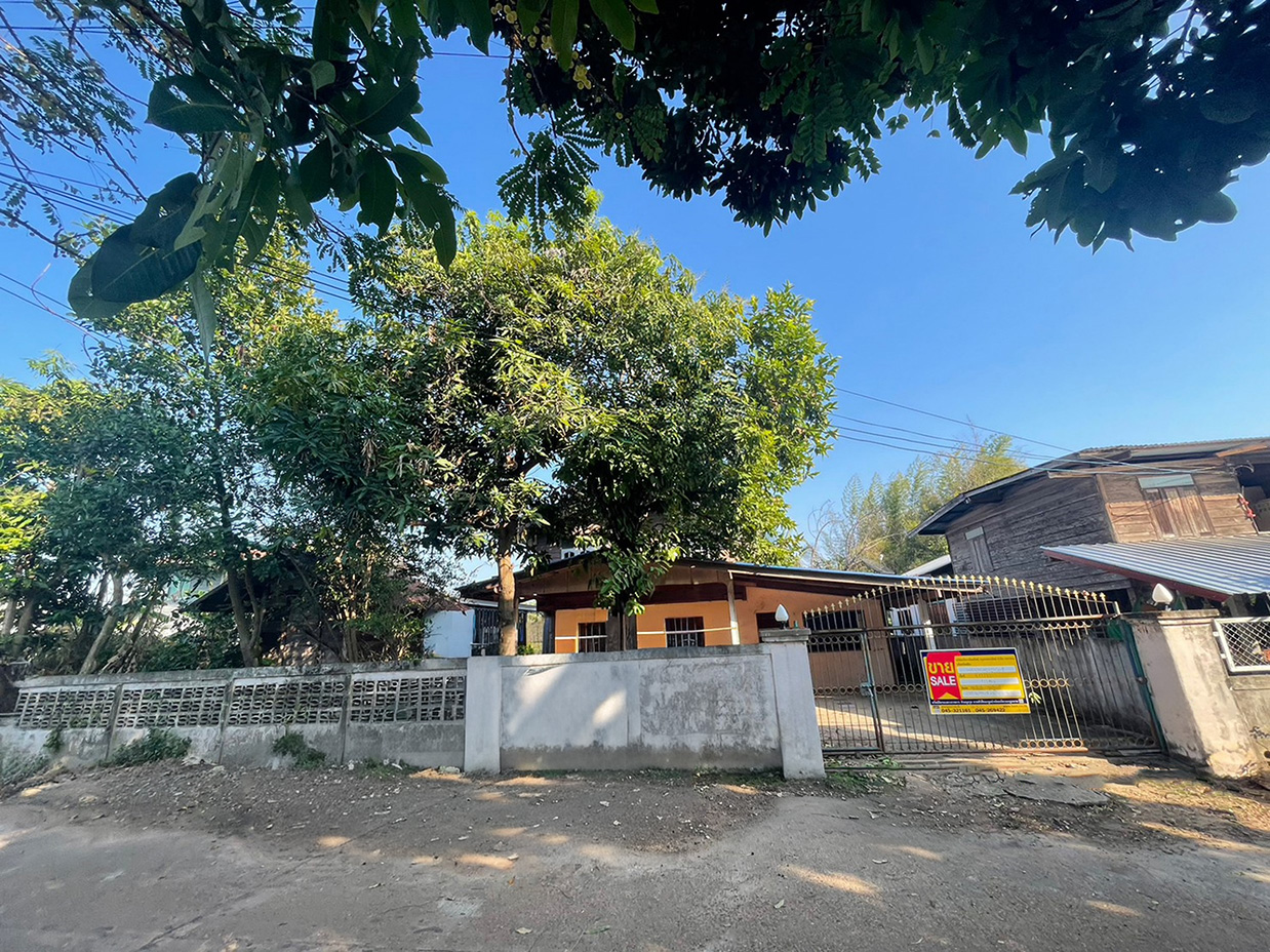 1f63aab9-รูปภาพ11.jpg
