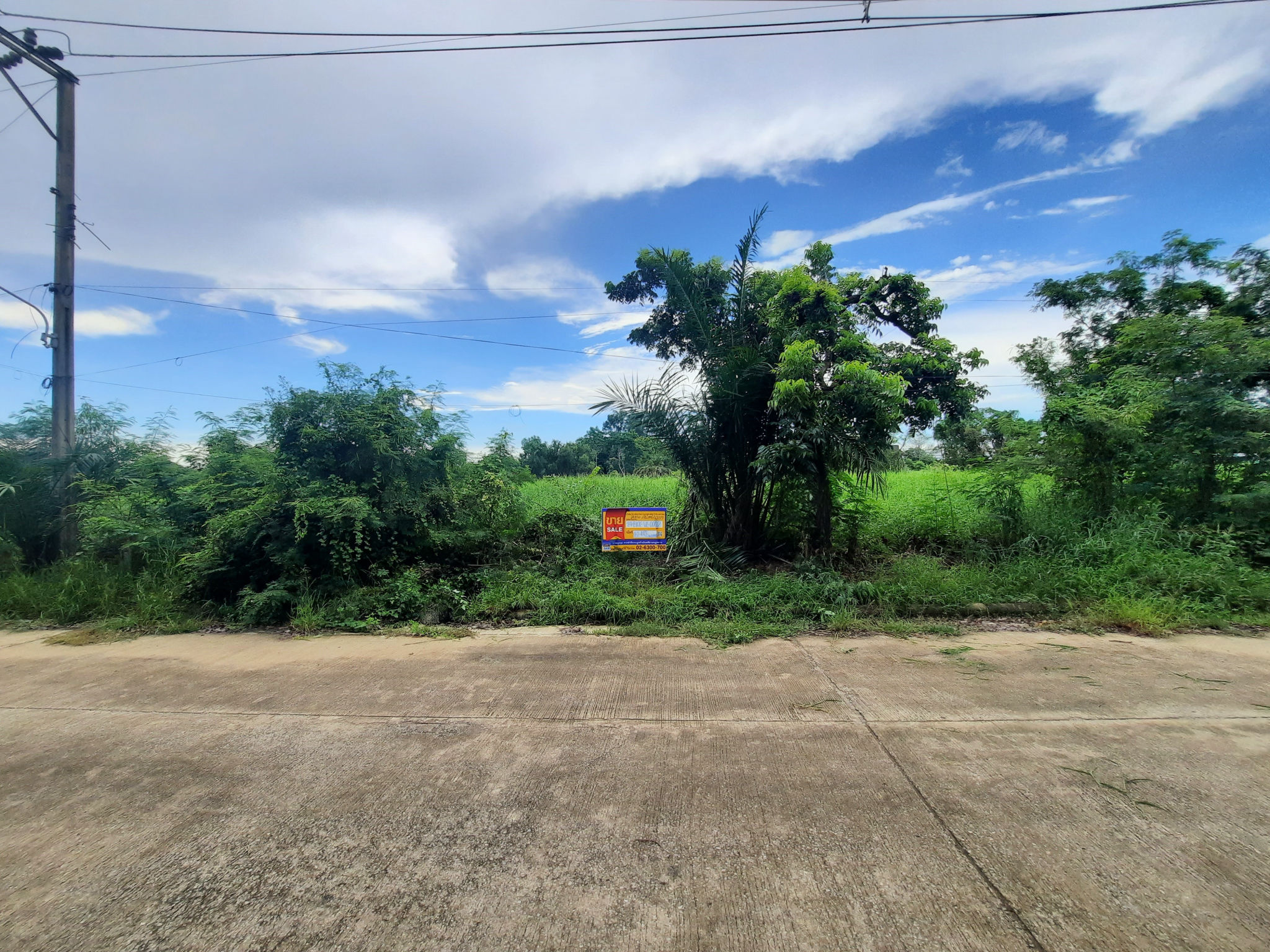 ที่ดิน ลำผักชี หนองจอก กรุงเทพมหานคร