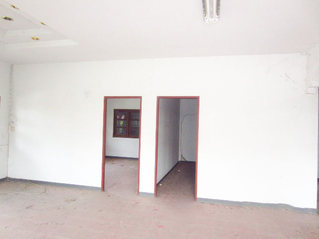 full_20150202164513.jpeg