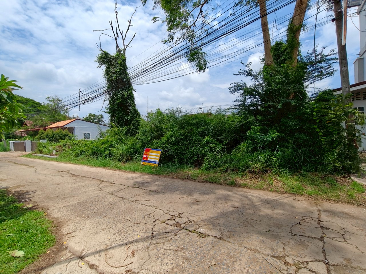 สื่อ (3).jpg