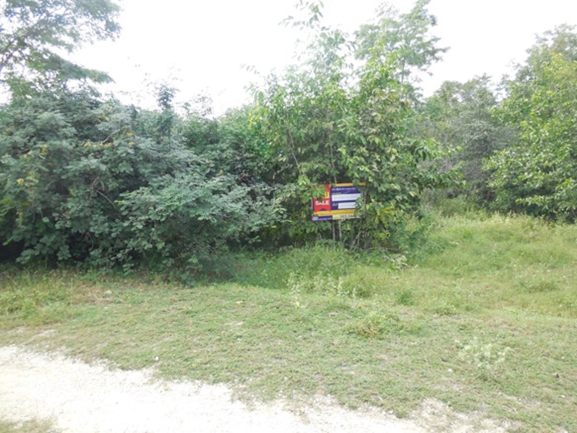 ที่ดิน บ้านแปะ จอมทอง เชียงใหม่