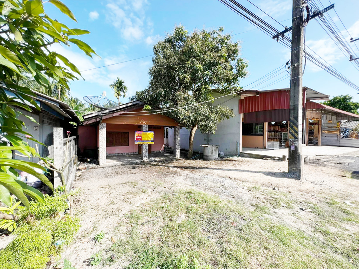 24cdb175-เธฃเธนเธเธ เธฒเธ10.jpg