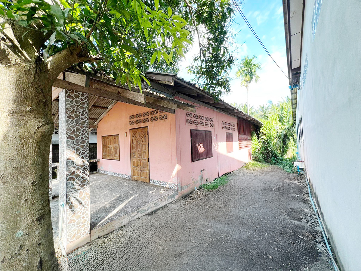 c2c54f6d-8.jpg