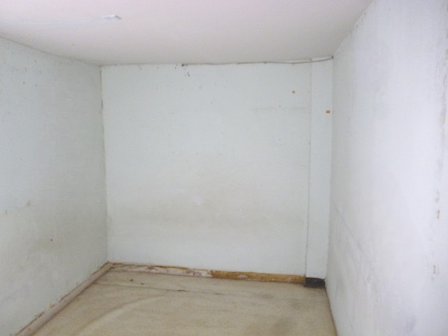 full_20200411195531 (1).jpg