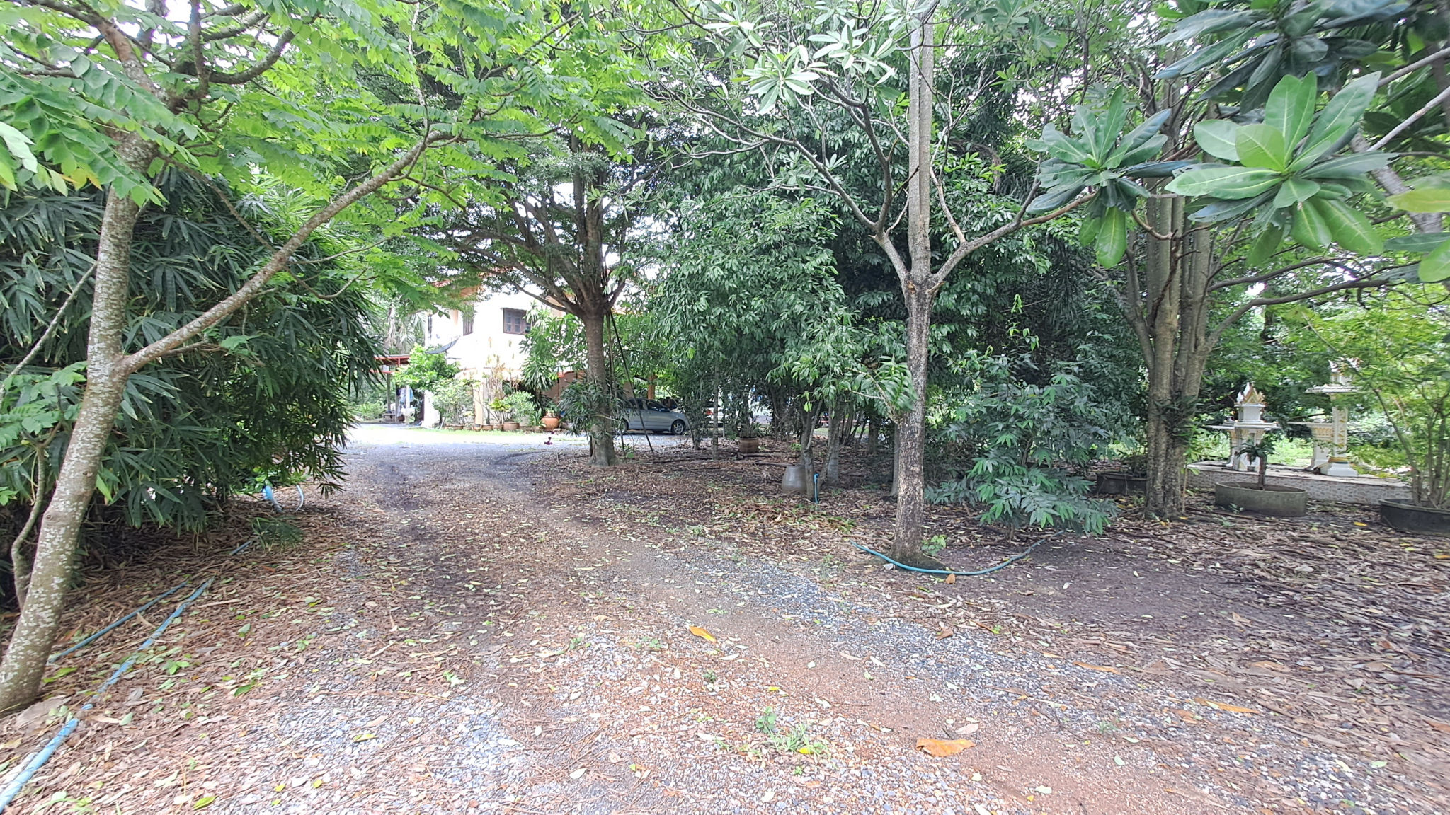 20230929_105725.jpg