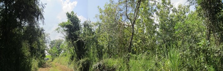 27801833-3.jpg