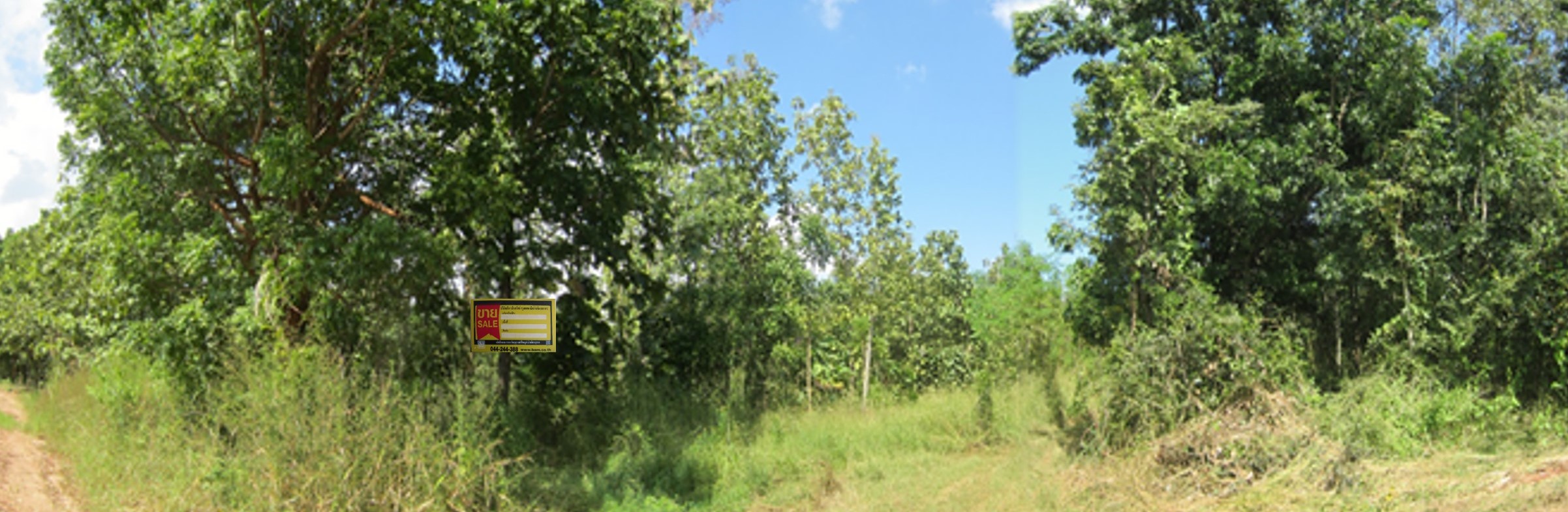 3722618d-5.jpg