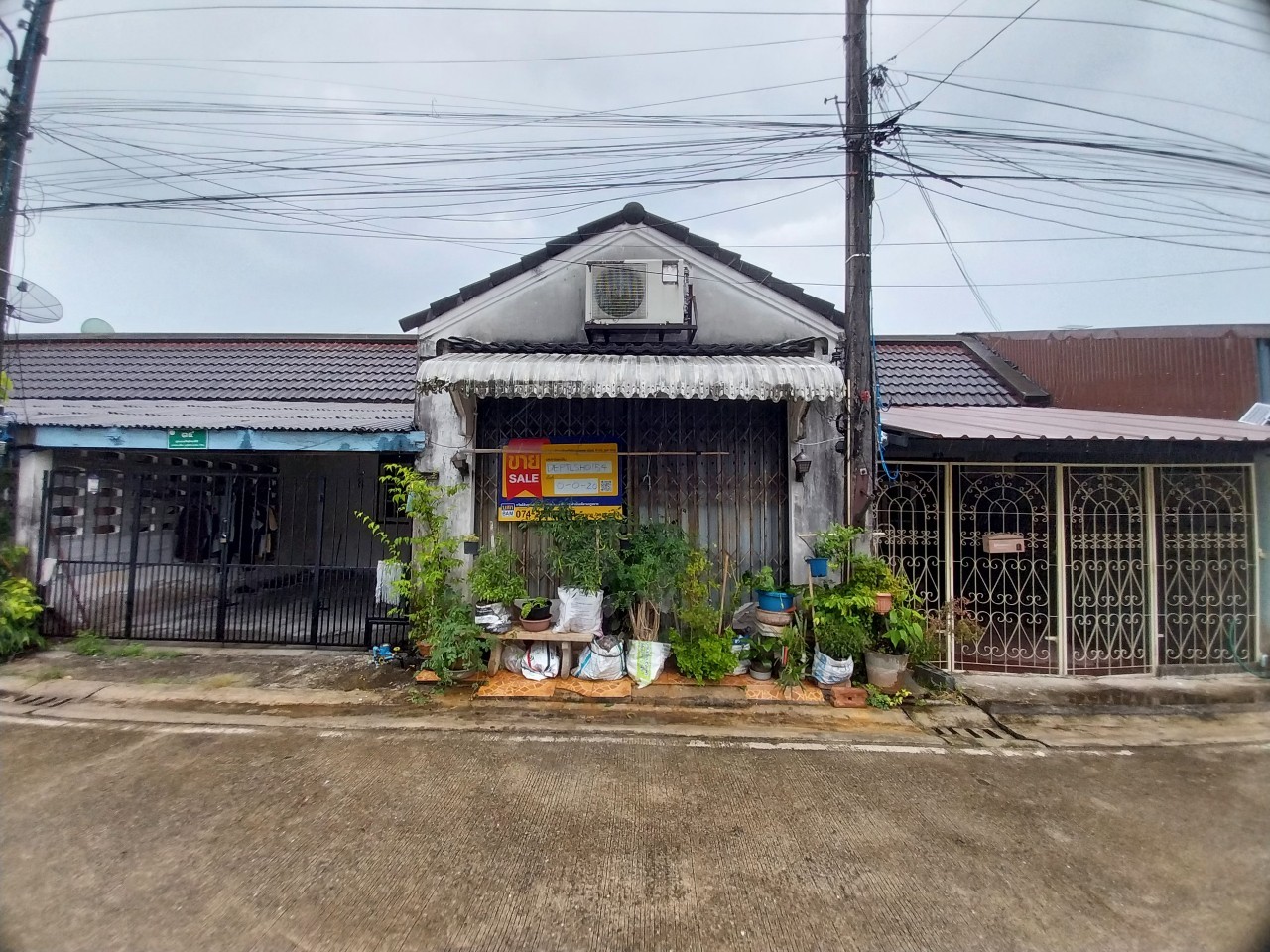195.jpg
