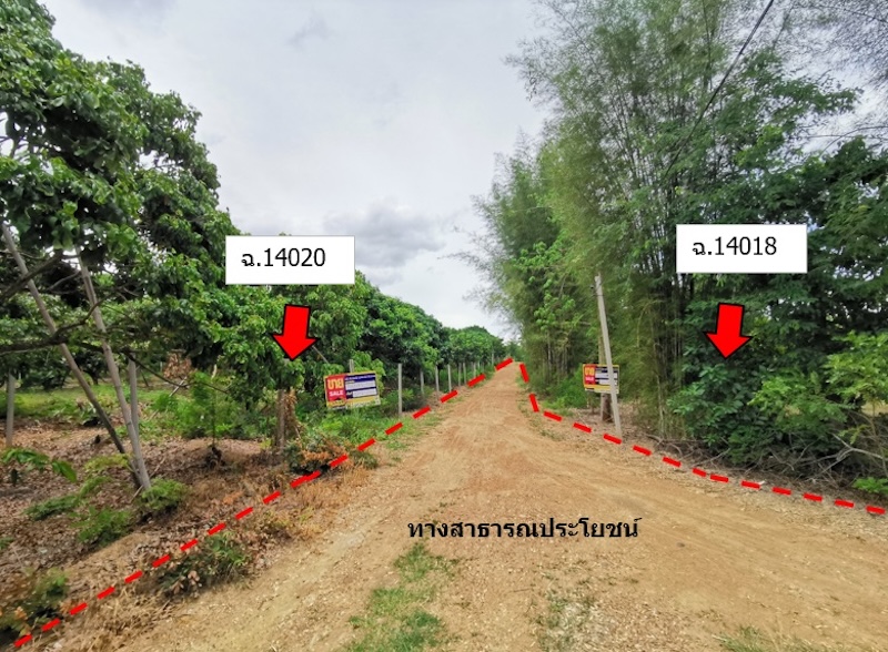 ที่ดิน ข่วงเปา จอมทอง เชียงใหม่