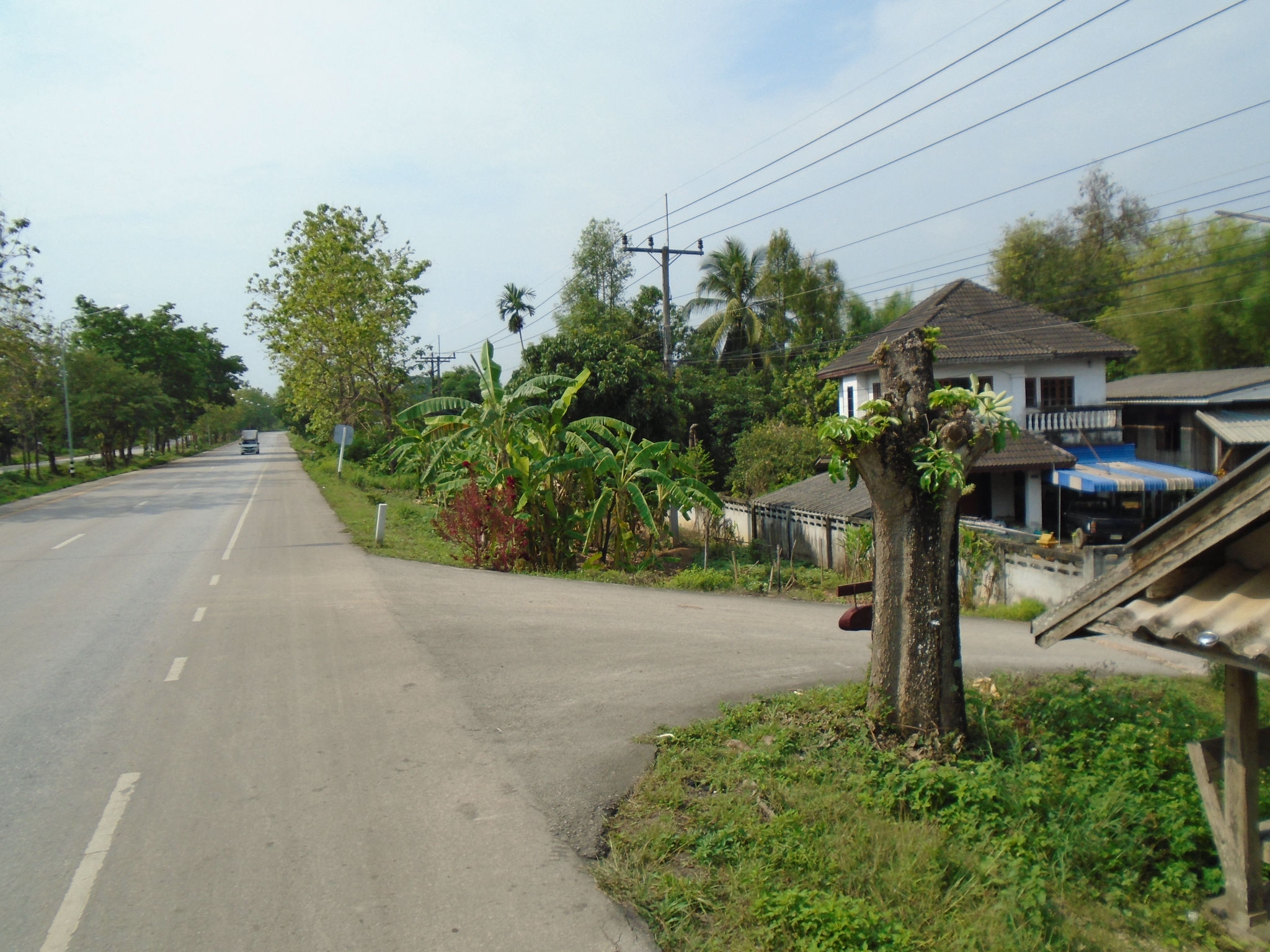 DSC05800.JPG