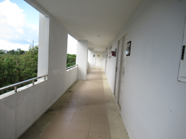 IMG_3296.JPG