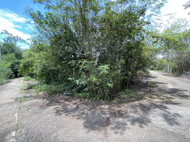 3093a6d4-145052-5.jpg