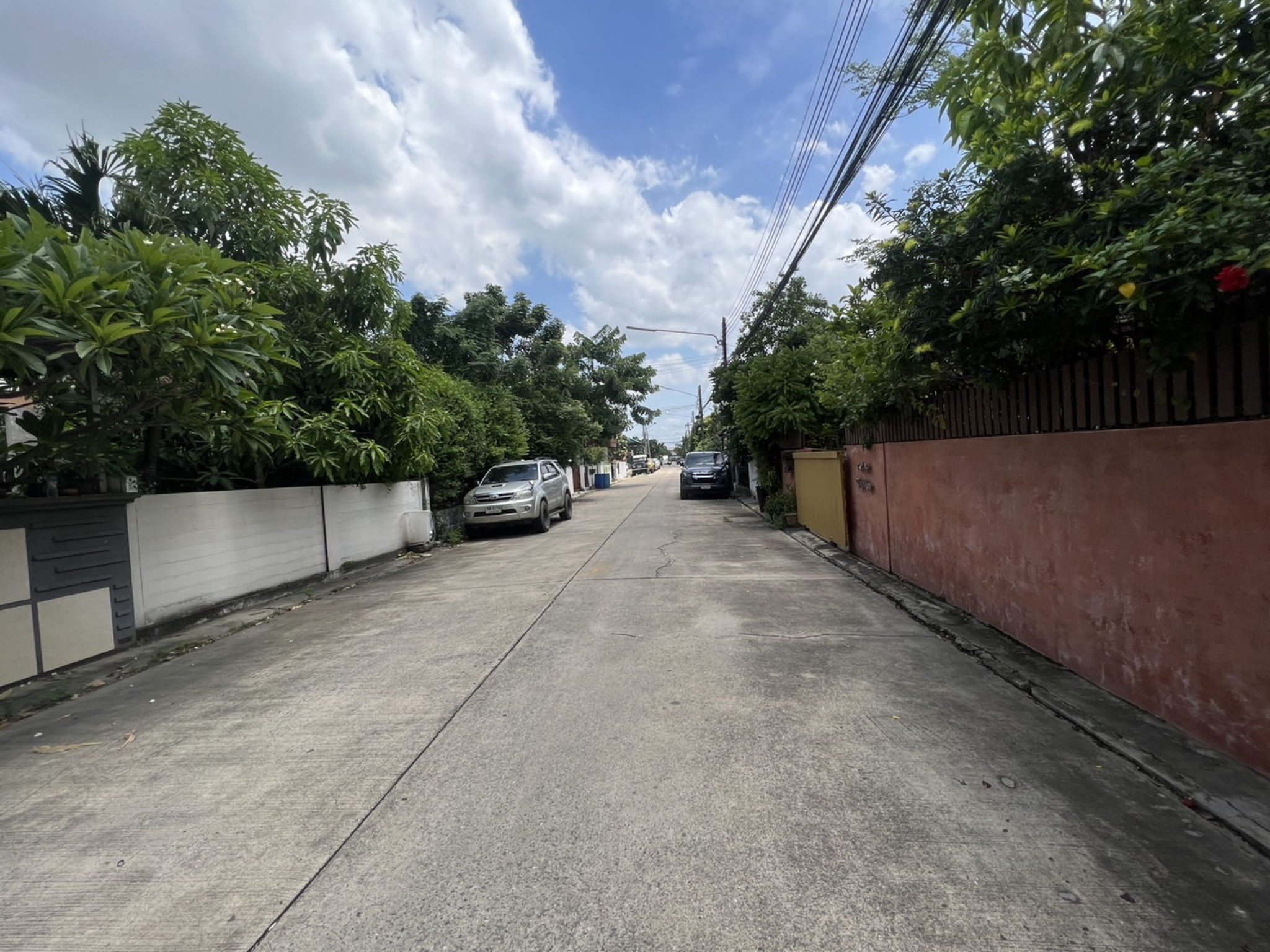 S__26444010.jpg