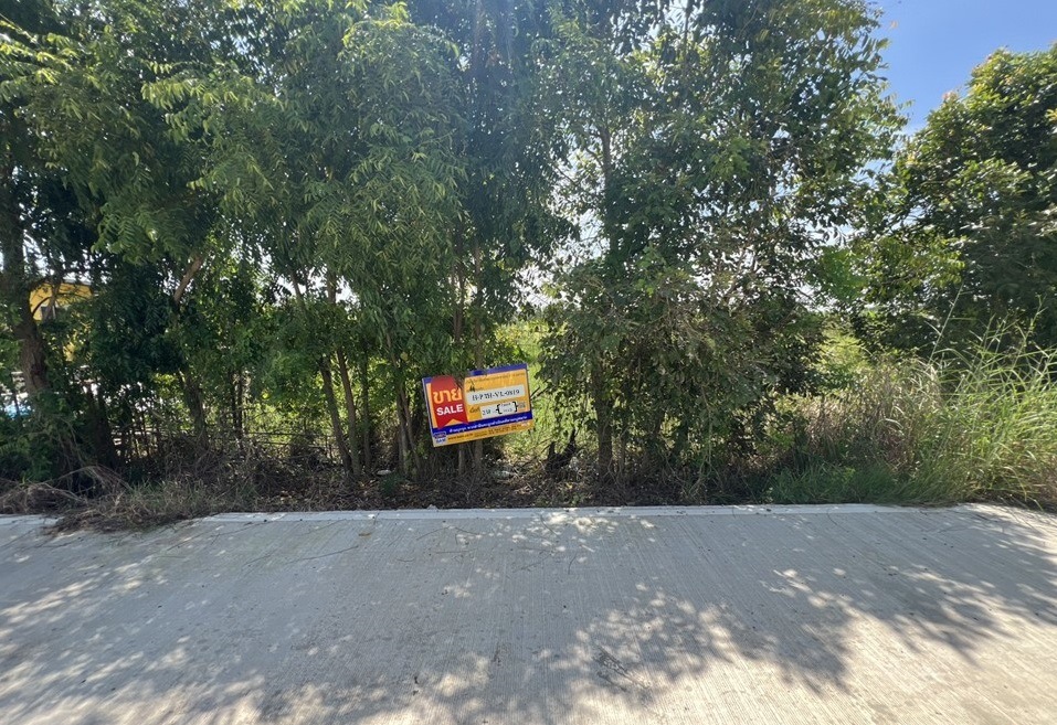 ที่ดิน ศาลาครุ หนองเสือ ปทุมธานี