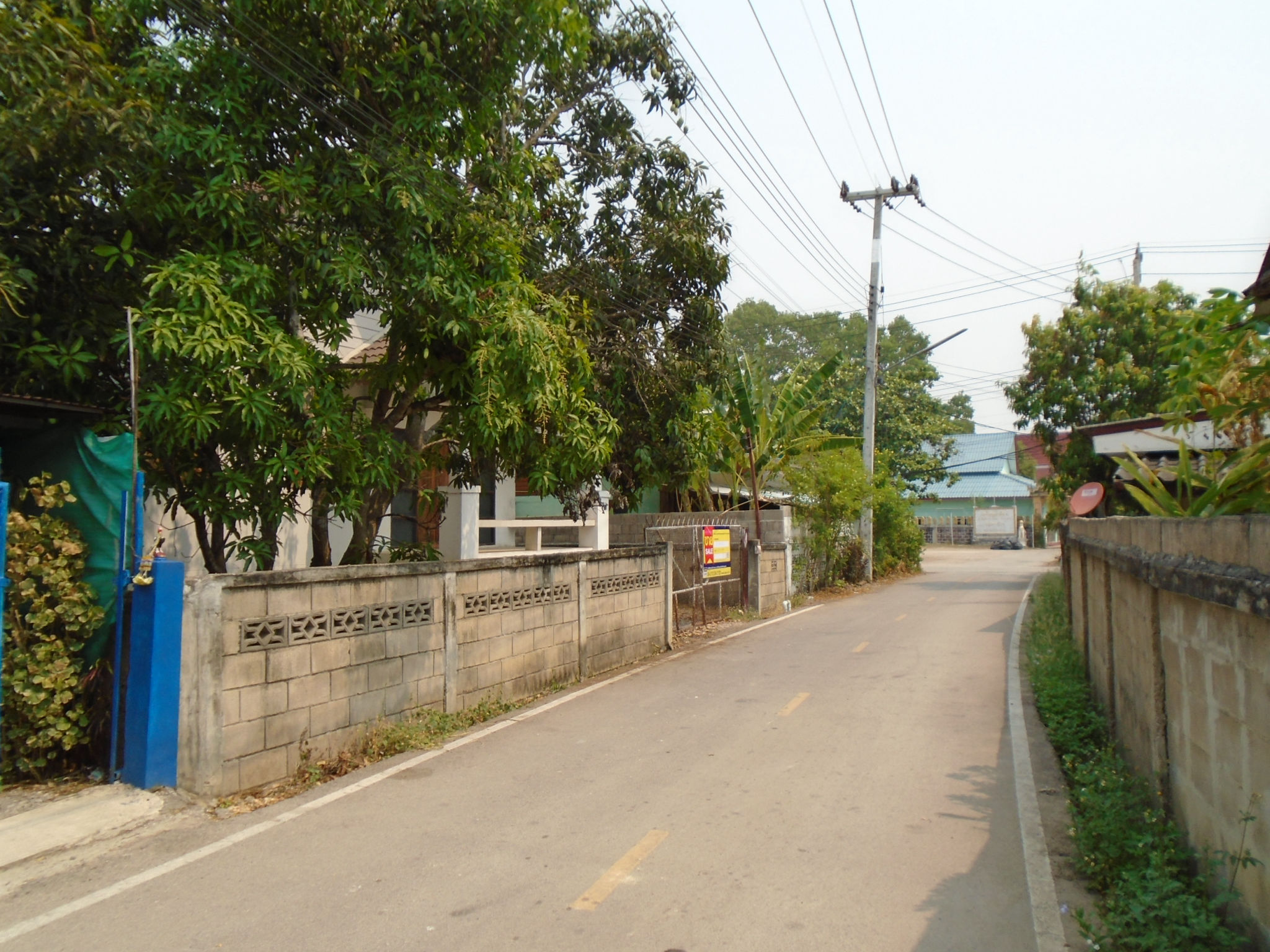 DSC05144.JPG