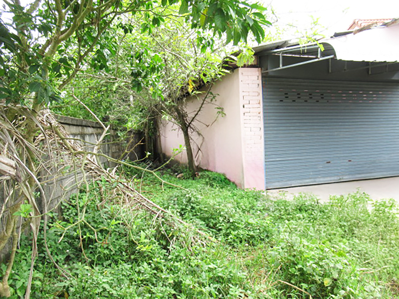 90c1c077-IMG_1555.JPG