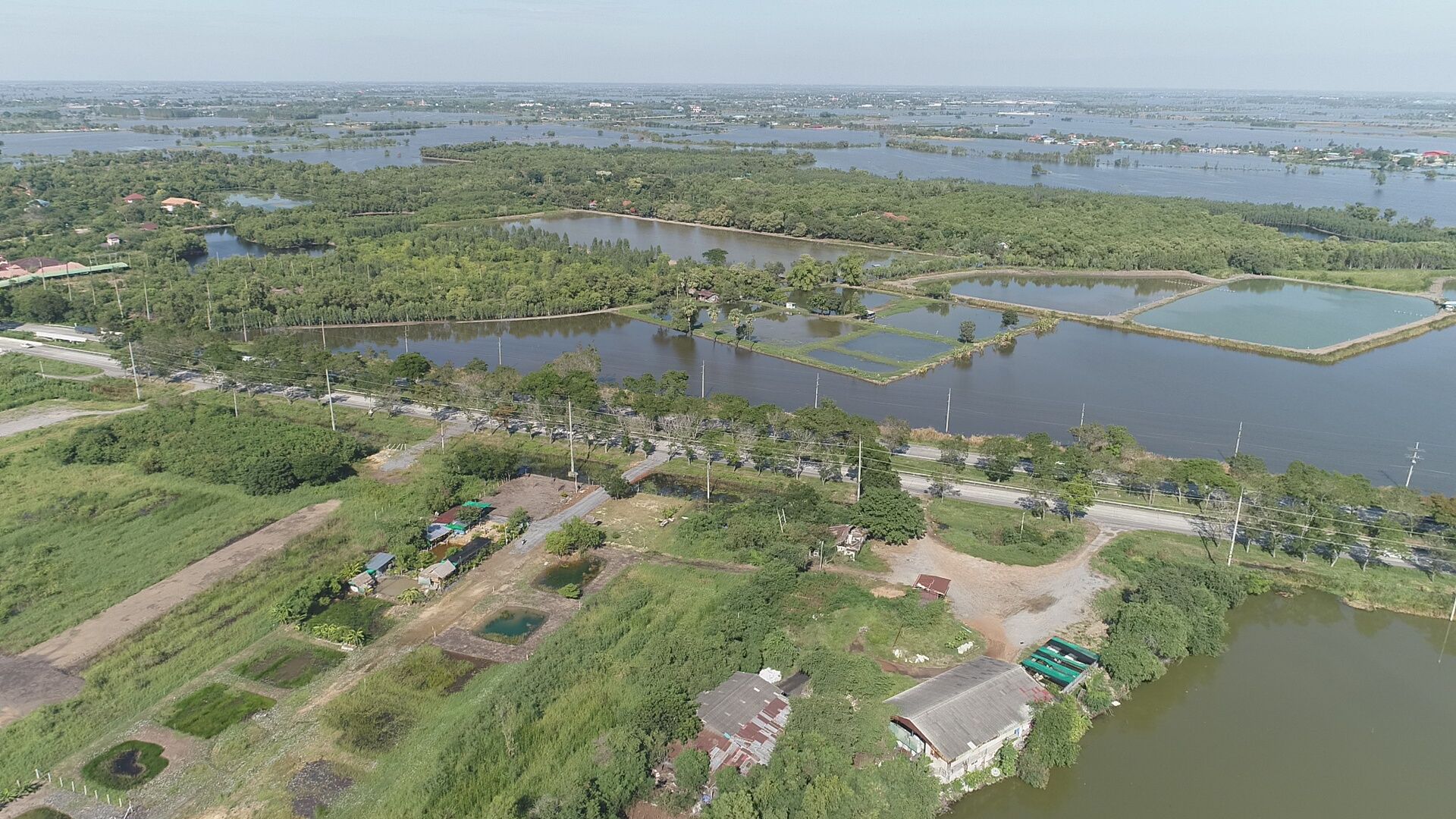 DJI_0006.JPG