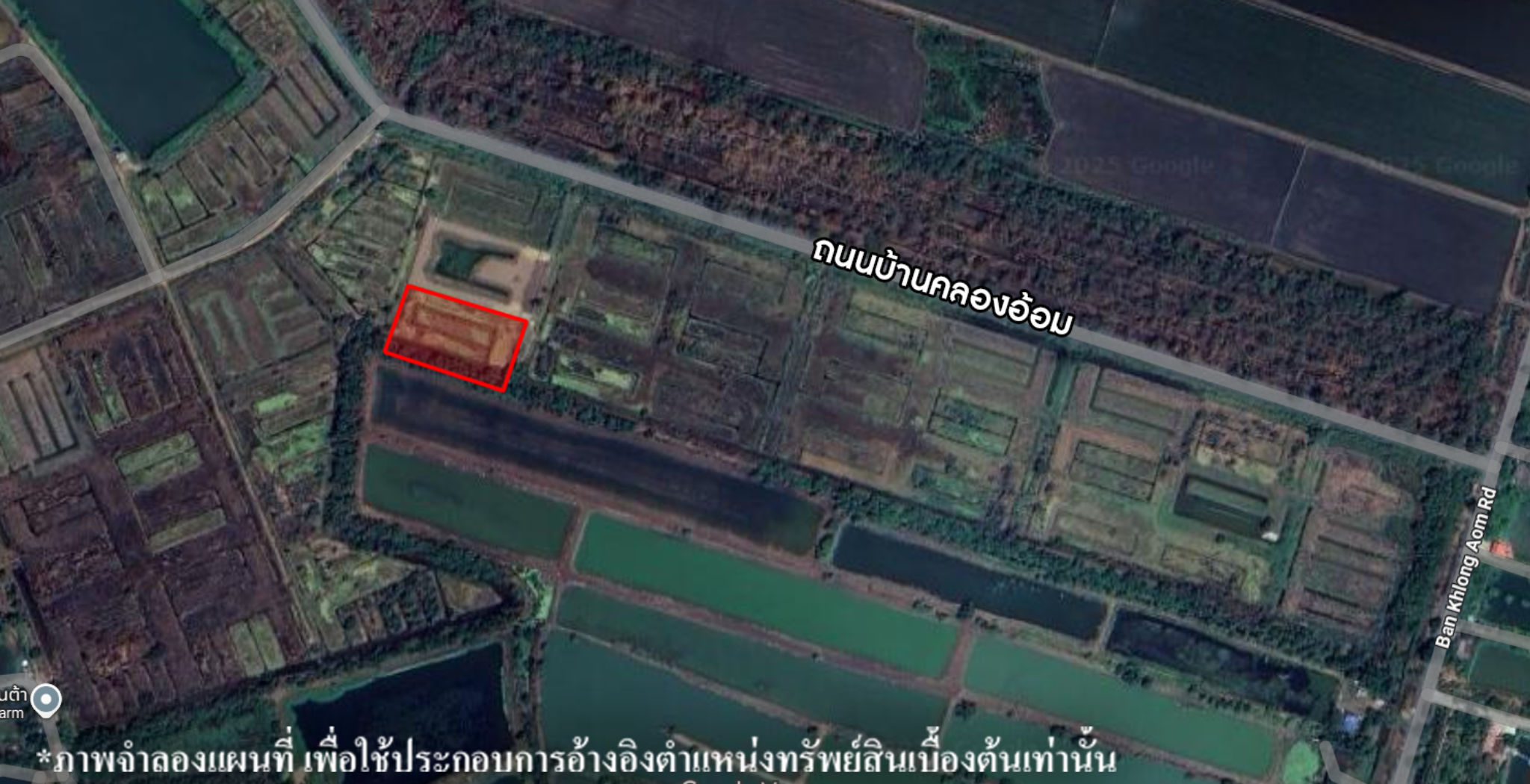 image (23).png