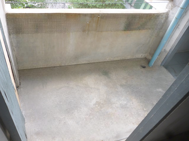 image (15).png