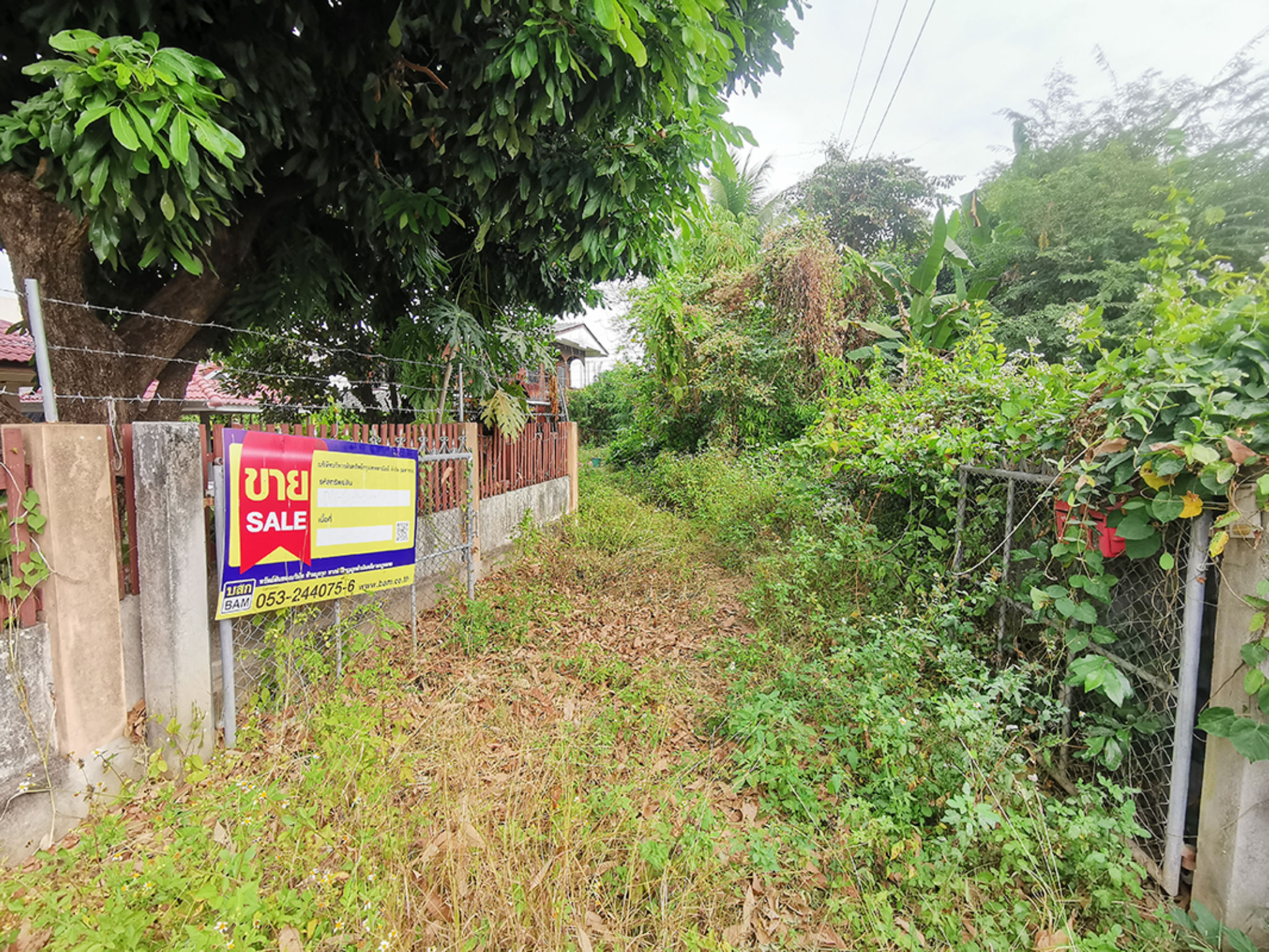 บ้านเดี่ยว บ้านกลาง  เชียงใหม่