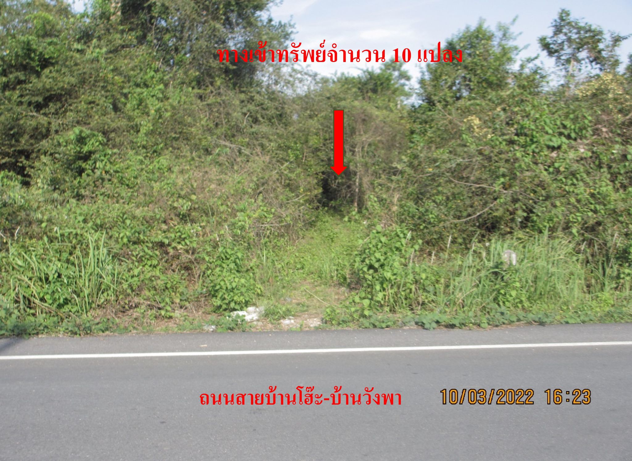 รูปภาพ4.jpg