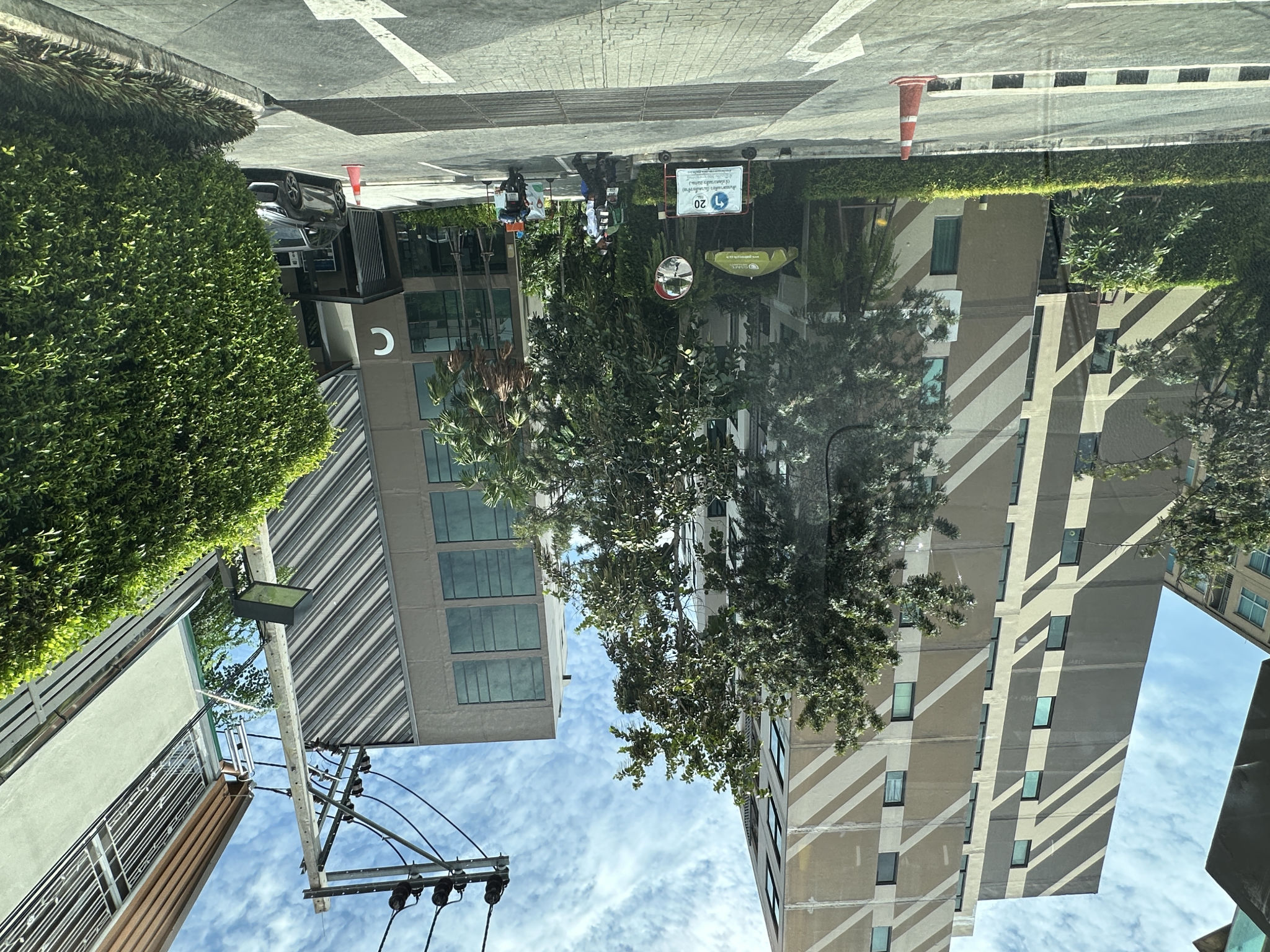 20250818_060528497_iOS.jpg