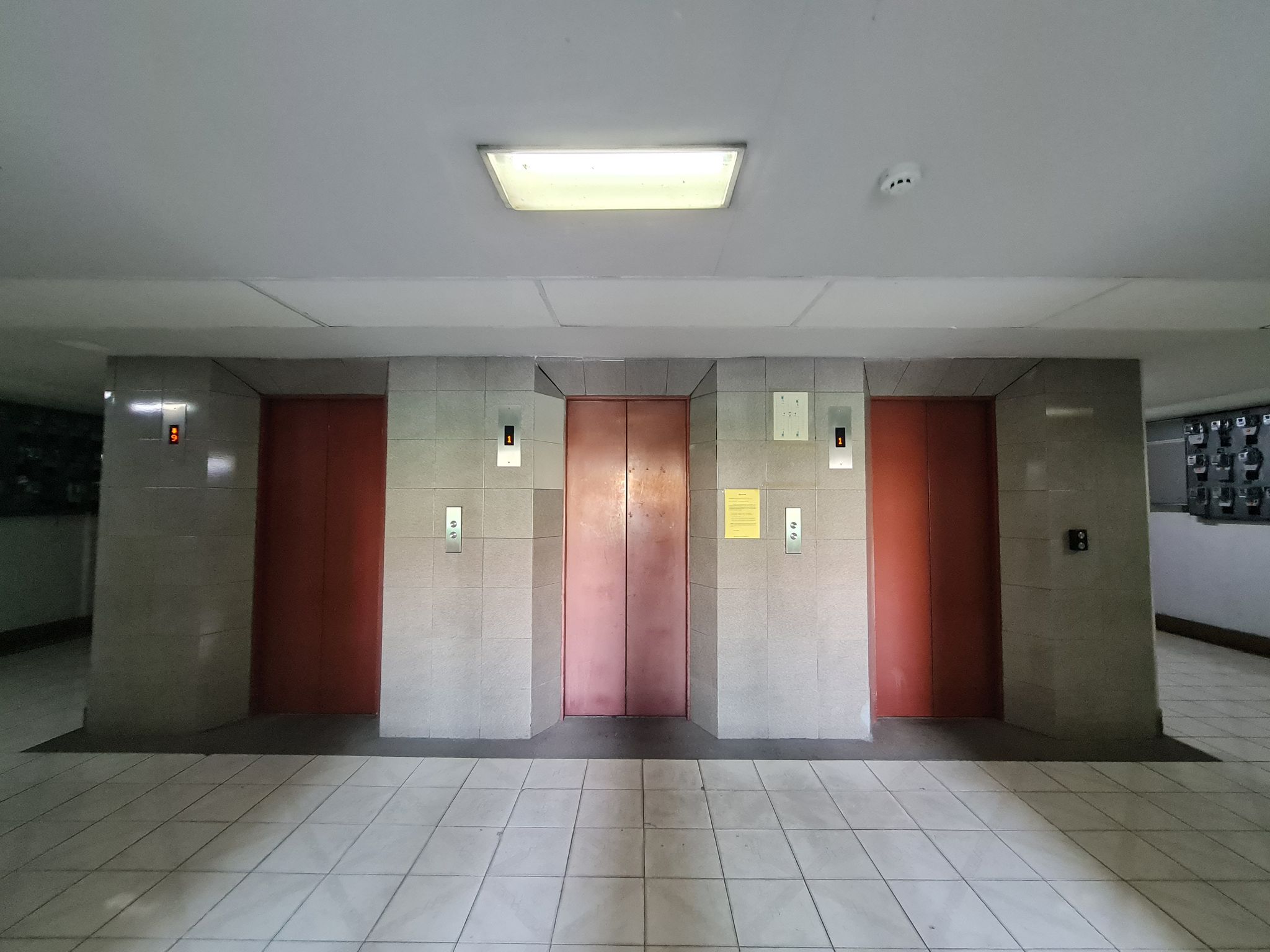 20230301_133302.jpg