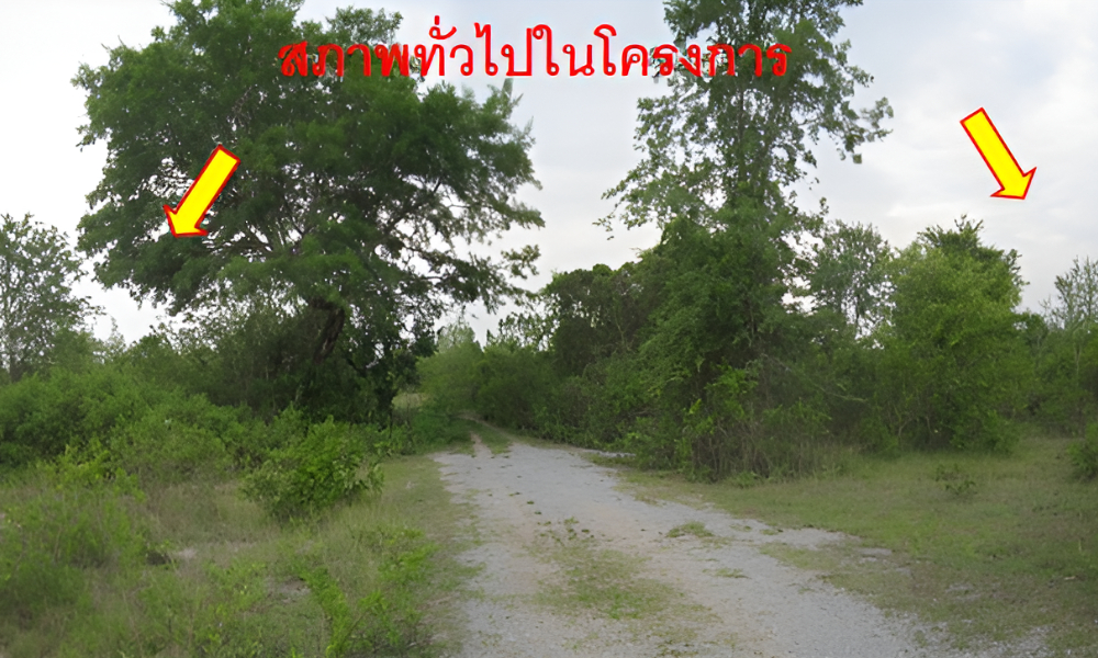 Web_Photo_Editor (1).jpg