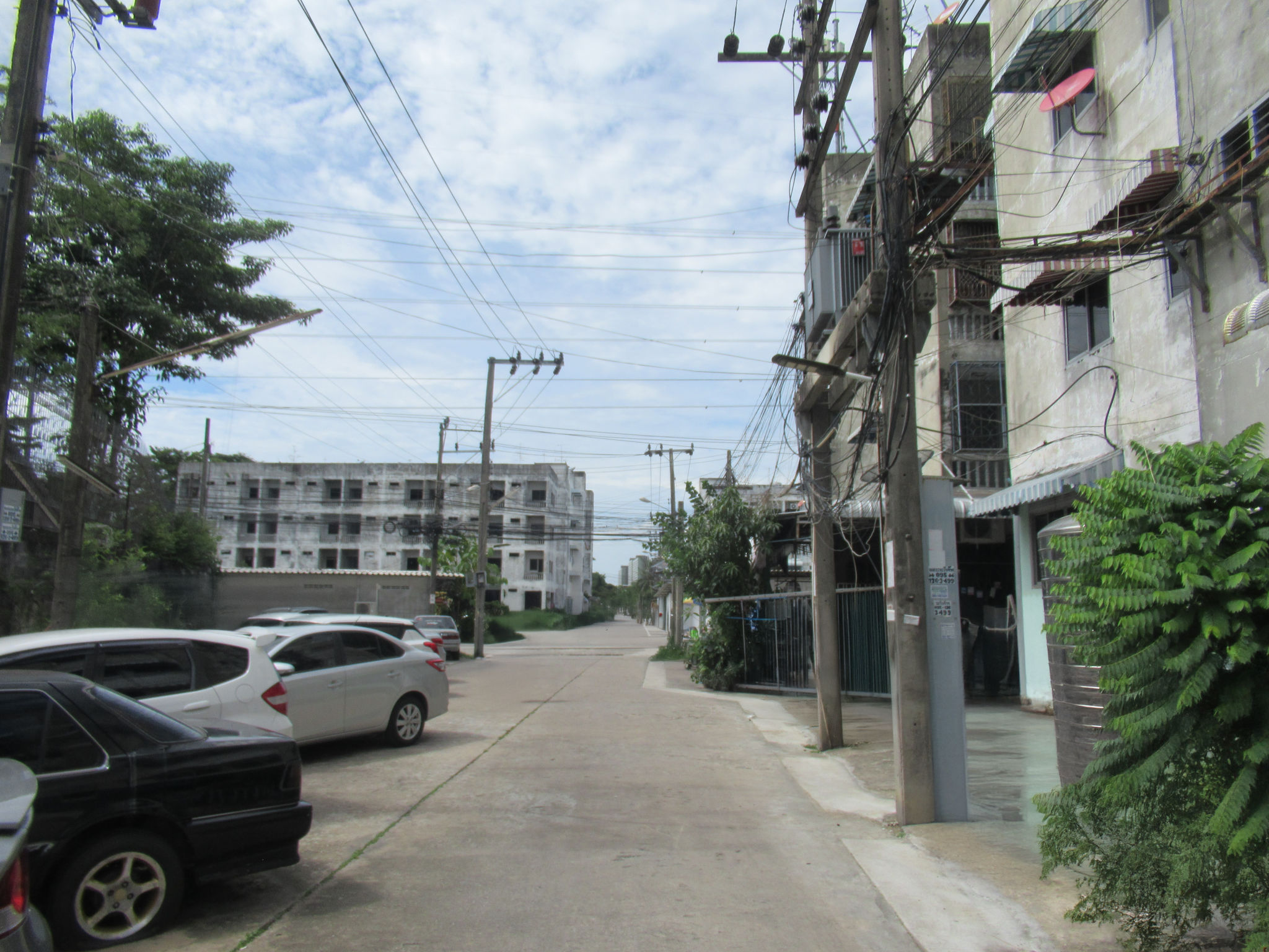 b5b3c997-IMG_0271.png