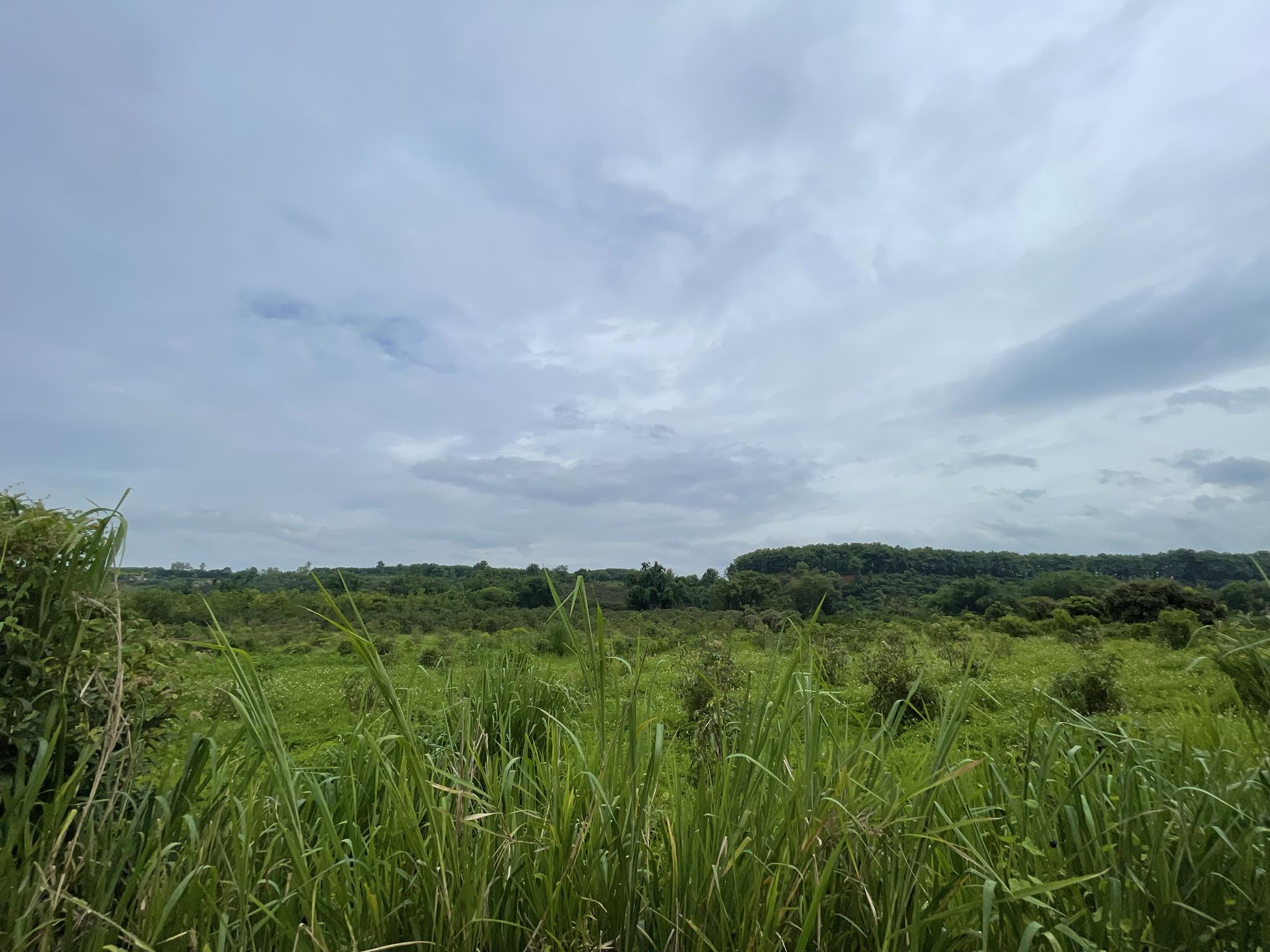 e54c4ad3-46f8-4109-9a06-d9ec867b8f39.jpg